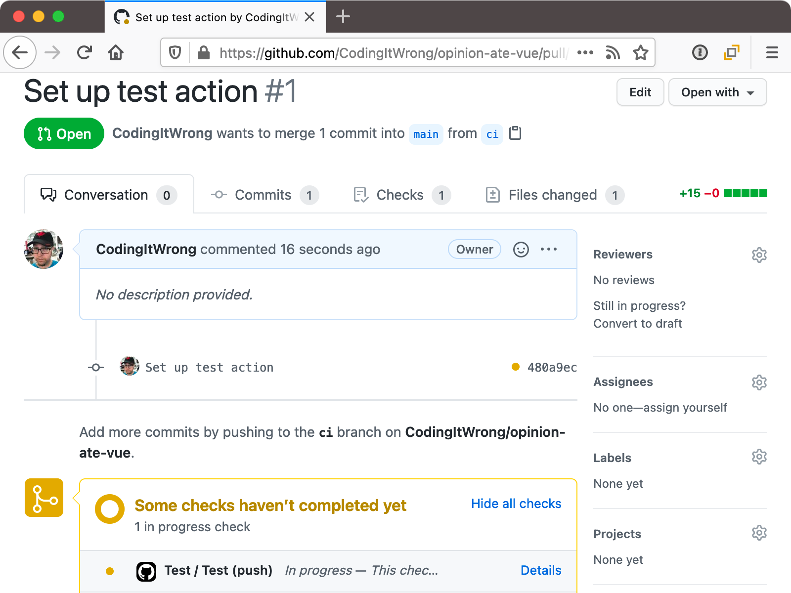 PR screen with tests running